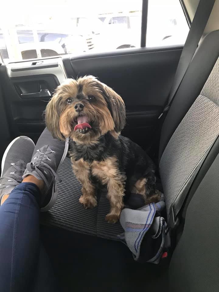 Readers pet photos